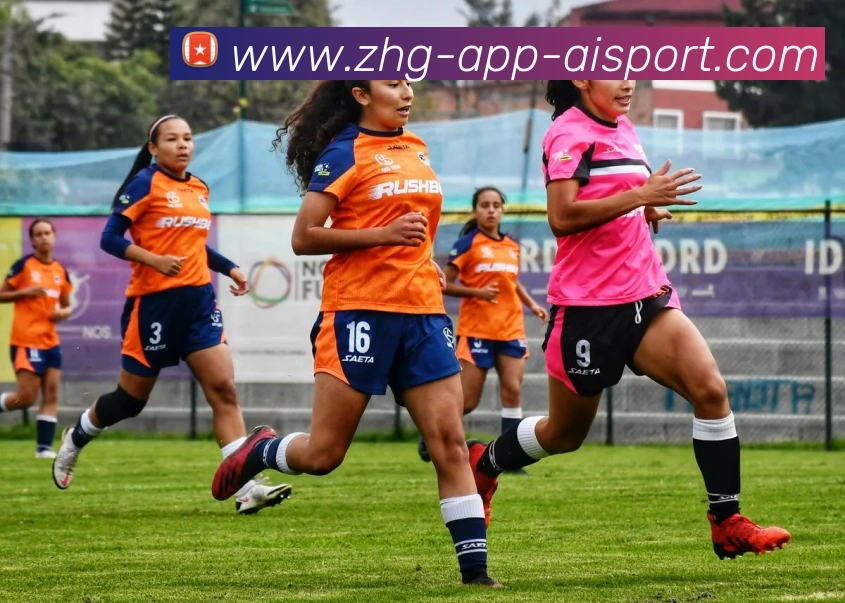 爱体育平台生态图