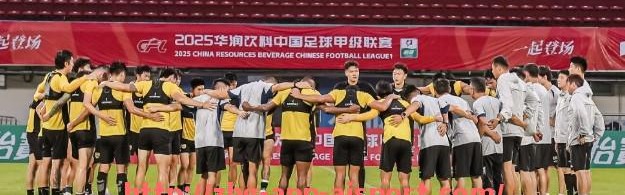 爱体育app-历史上降级最惨烈的德甲球队回顾：积分、比分与原因